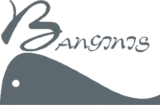 Banginis